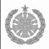 9a - Command Fire Chief